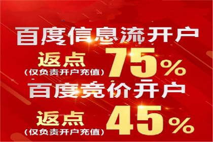 案例分析：SEM广告助力电商行业突破